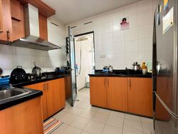 Blk 1C The Pinnacle@Duxton (Bukit Merah), HDB 4 Rooms #589206041